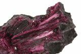 Vibrant, Magenta Erythrite Crystals - Morocco #93608-1
